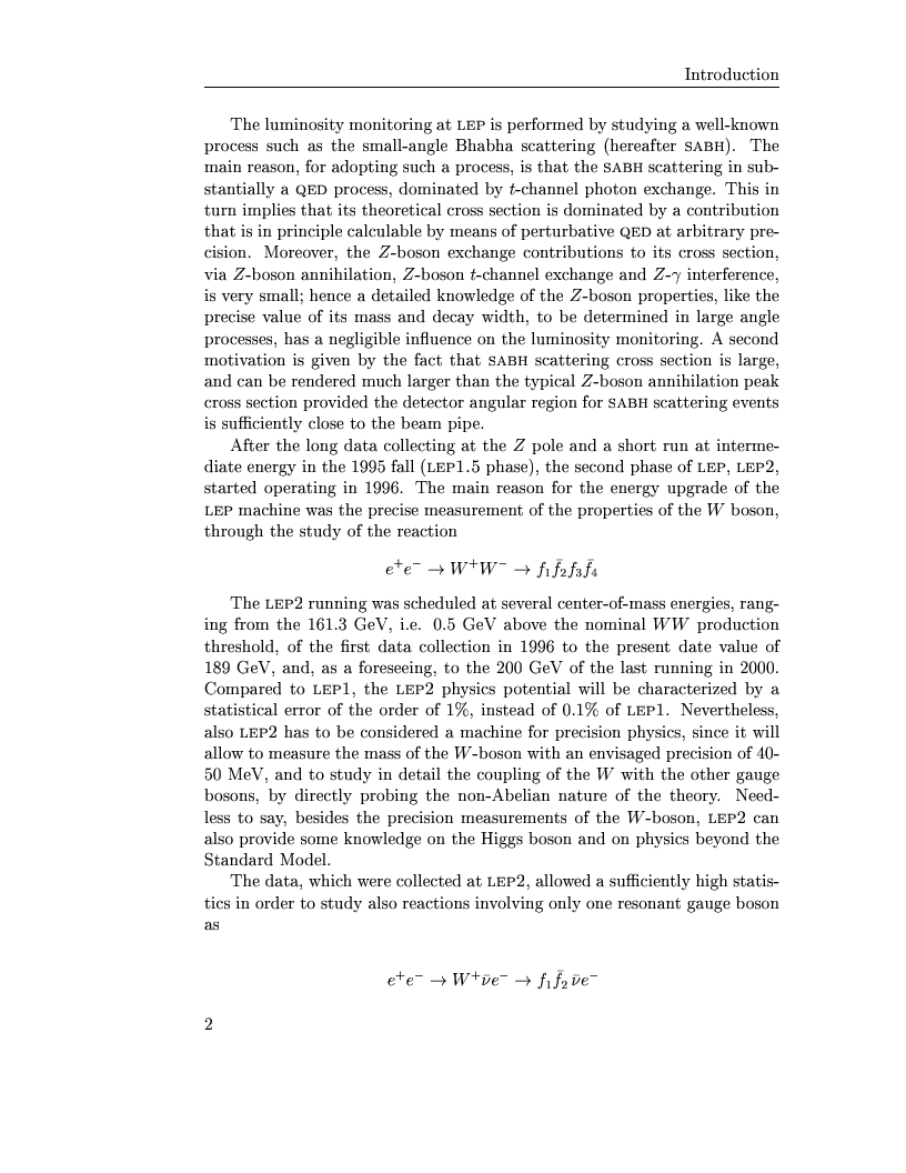 Anteprima della tesi: Electro-weak physics with forward dynamics at LEP, Pagina 3