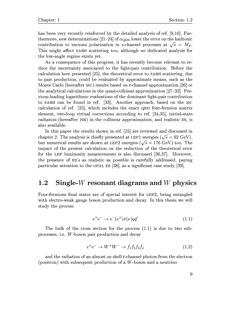 Anteprima della tesi: Electro-weak physics with forward dynamics at LEP, Pagina 9