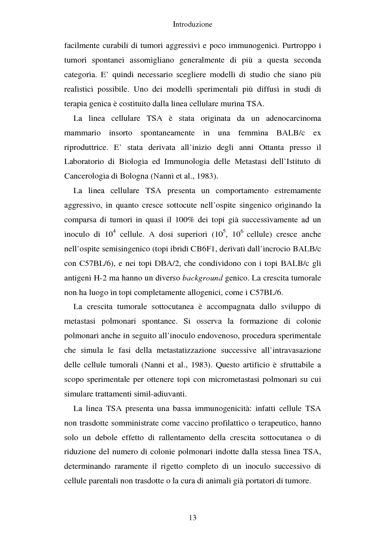 Anteprima della tesi: Produzione di vaccini per la terapia genica mediante trasduzione di Interleuchina 18 in cellule di carcinoma mammario murino, Pagina 10