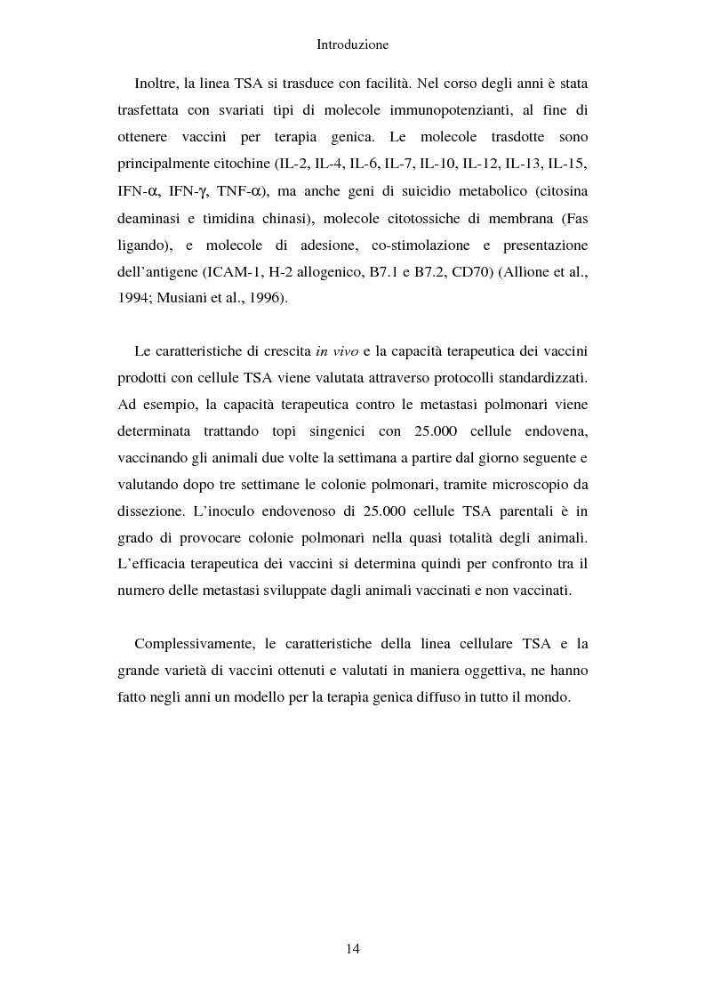Anteprima della tesi: Produzione di vaccini per la terapia genica mediante trasduzione di Interleuchina 18 in cellule di carcinoma mammario murino, Pagina 11