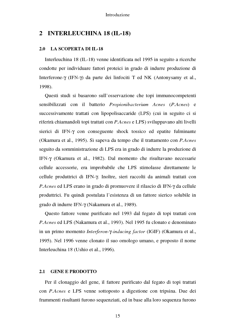 Anteprima della tesi: Produzione di vaccini per la terapia genica mediante trasduzione di Interleuchina 18 in cellule di carcinoma mammario murino, Pagina 12