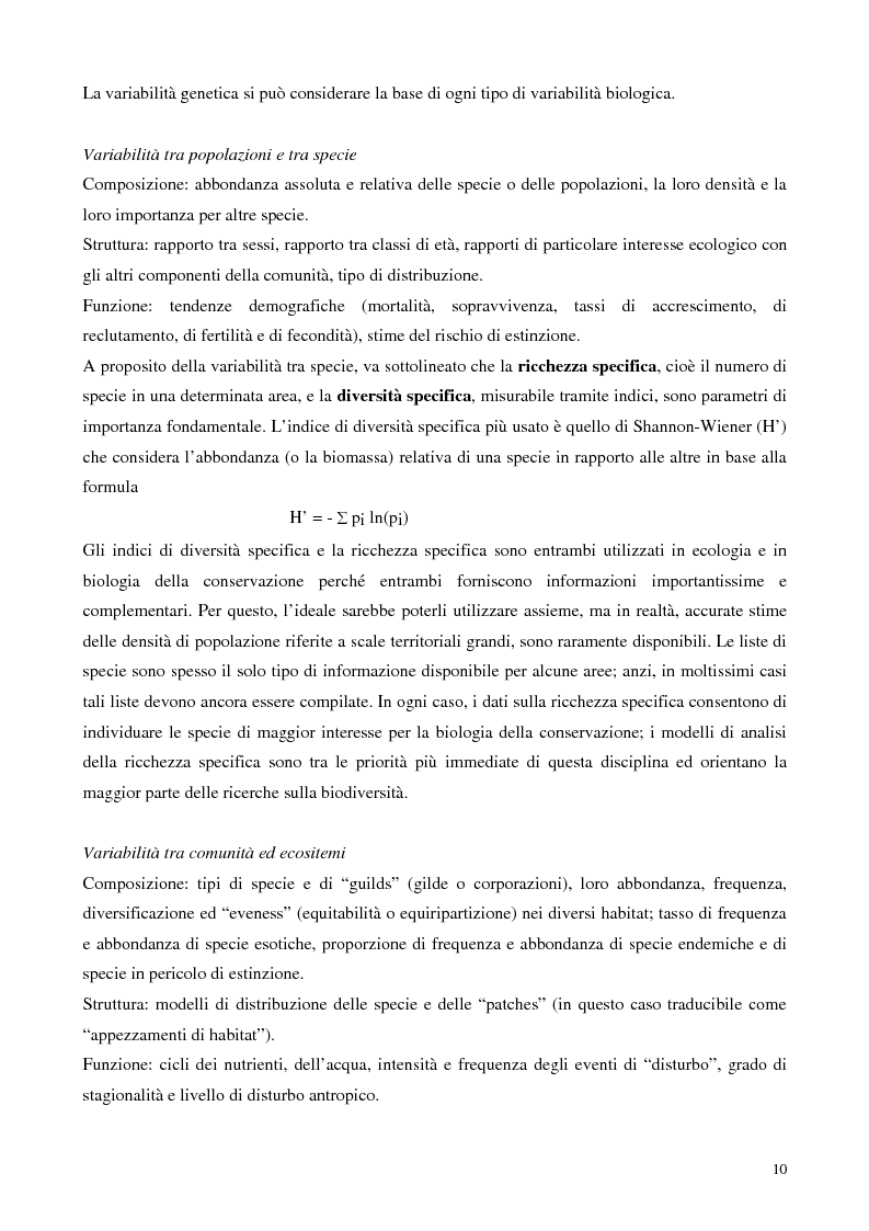 Anteprima della tesi: Biodiversità e biogeografia dei molluschi marini italiani: modelli di analisi a fini conservazionistici, Pagina 5