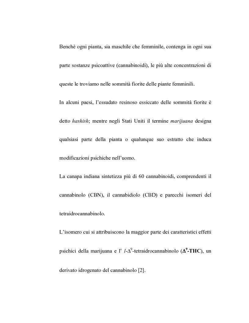 Anteprima della tesi: Controllo dell'attività bronchiale da parte dei cannabinoidi endogeni, Pagina 2