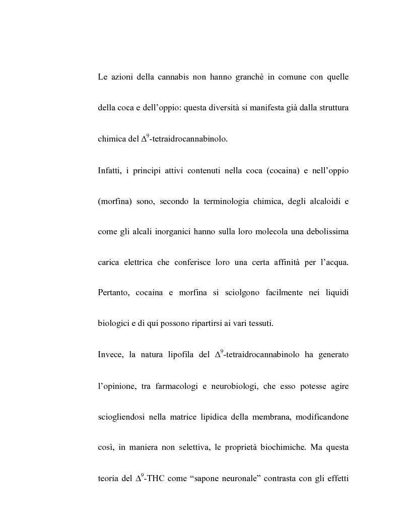 Anteprima della tesi: Controllo dell'attività bronchiale da parte dei cannabinoidi endogeni, Pagina 3