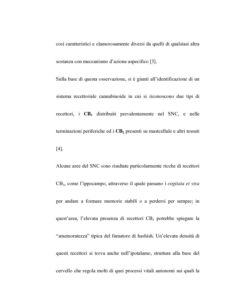 Anteprima della tesi: Controllo dell'attività bronchiale da parte dei cannabinoidi endogeni, Pagina 4
