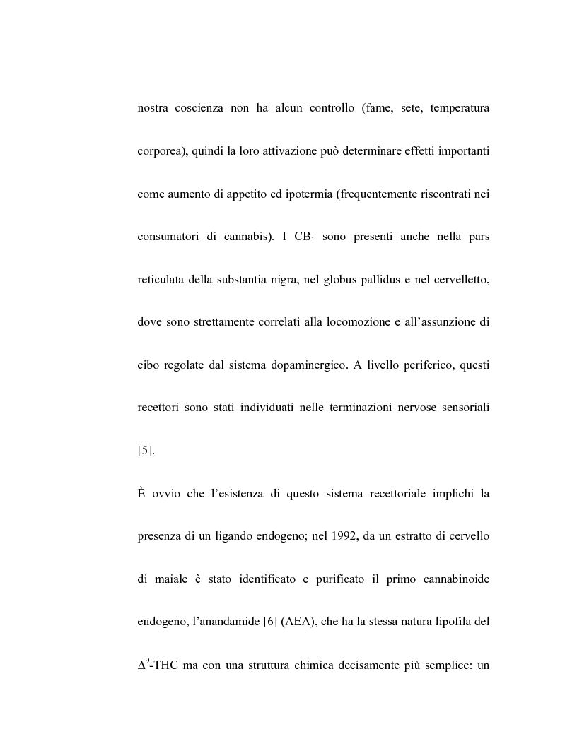 Anteprima della tesi: Controllo dell'attività bronchiale da parte dei cannabinoidi endogeni, Pagina 5