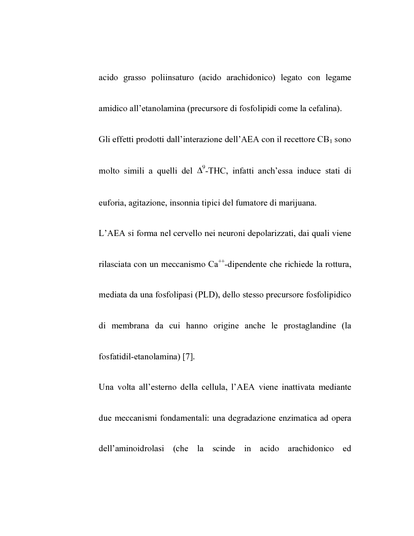 Anteprima della tesi: Controllo dell'attività bronchiale da parte dei cannabinoidi endogeni, Pagina 6