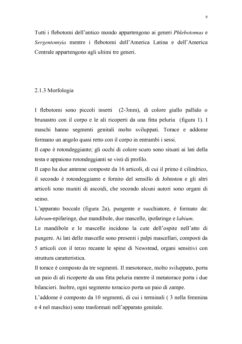 Anteprima della tesi: Distribuzione dei vettori di Leishmaniosi canina in provincia di Alessandria, Pagina 6