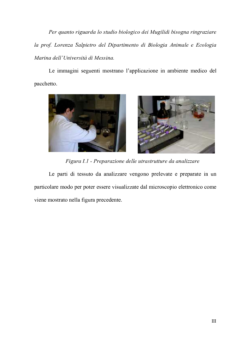 Anteprima della tesi: Forme - Un pacchetto interattivo per l'analisi di curve, Pagina 3