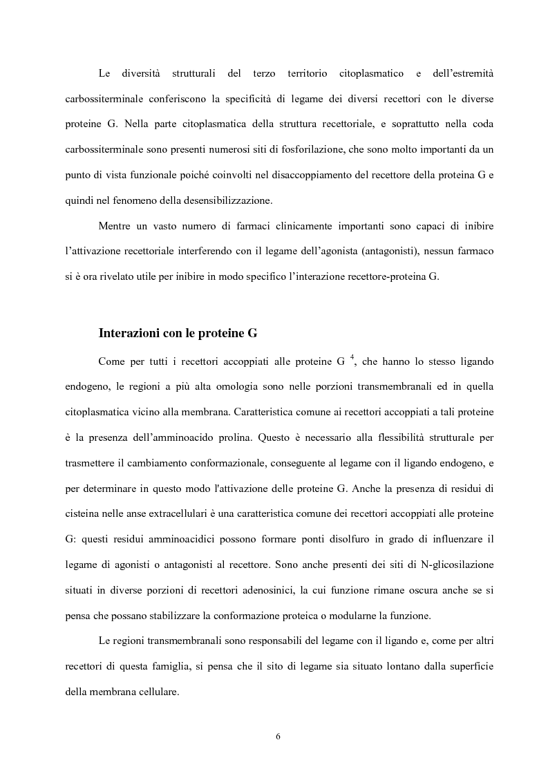 Anteprima della tesi: Struttura e attività di nuovi antagonisti adenosinici A2A, Pagina 3