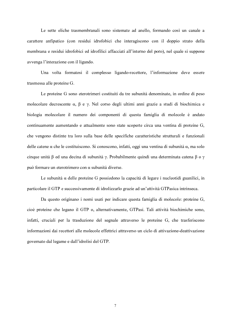 Anteprima della tesi: Struttura e attività di nuovi antagonisti adenosinici A2A, Pagina 4
