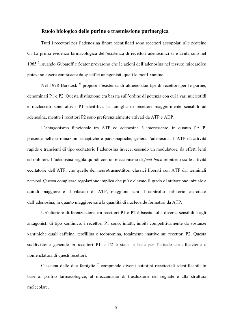 Anteprima della tesi: Struttura e attività di nuovi antagonisti adenosinici A2A, Pagina 5