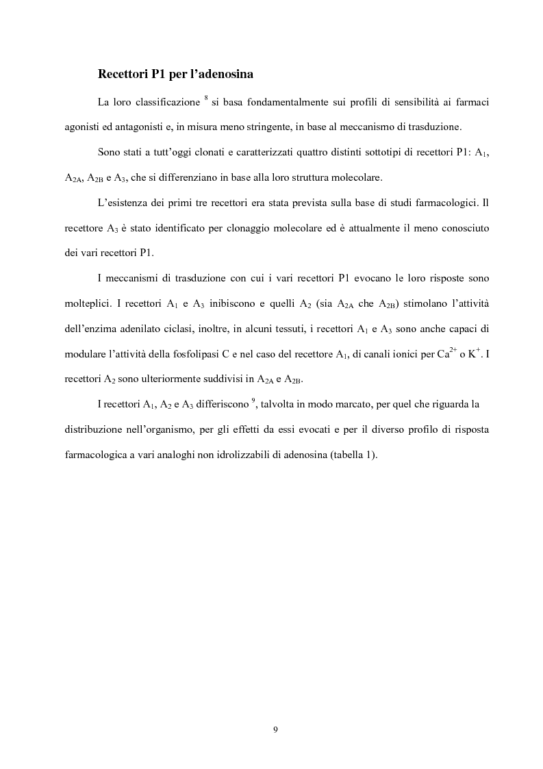 Anteprima della tesi: Struttura e attività di nuovi antagonisti adenosinici A2A, Pagina 6