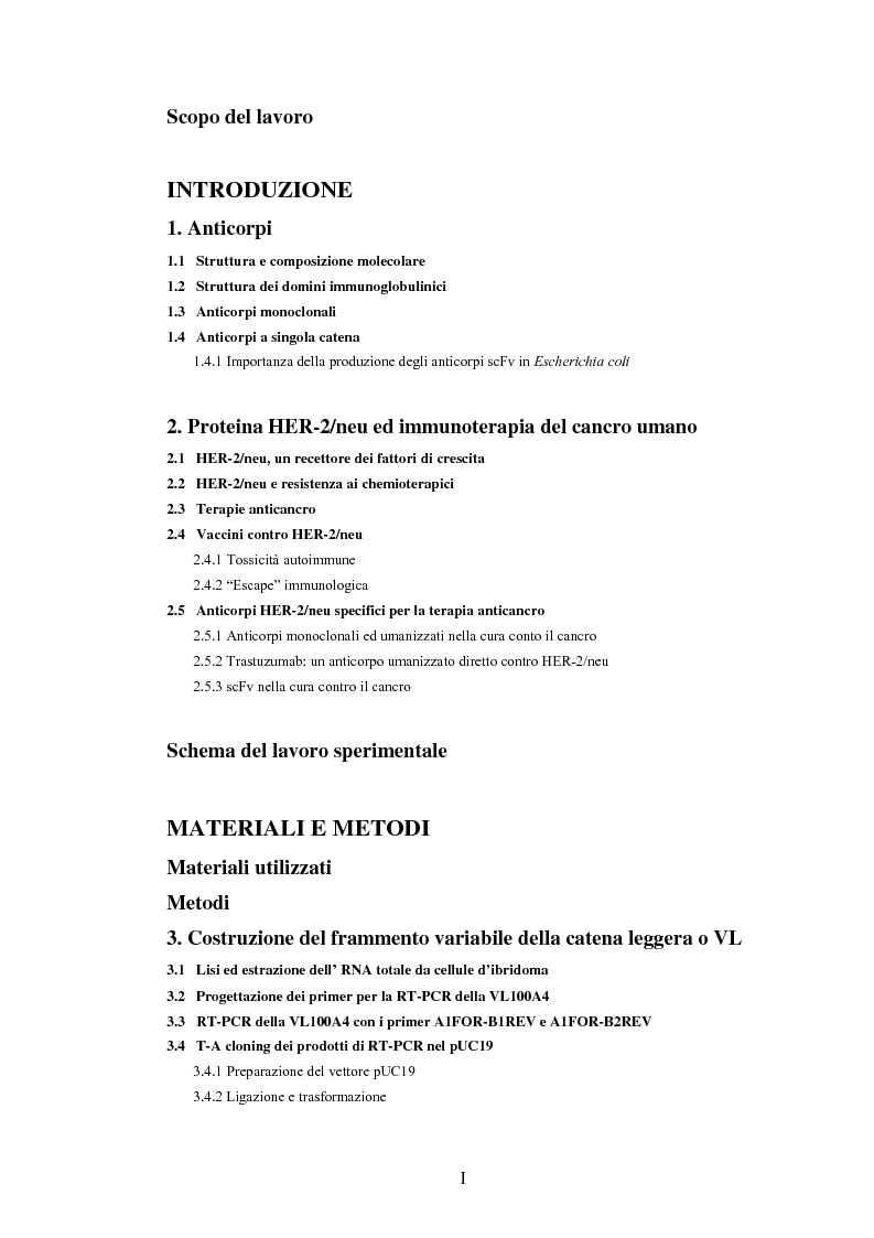 Indice della tesi: Confronto strutturale e funzionale di anticorpi ingegnerizzati scFvαHER-2, Pagina 1