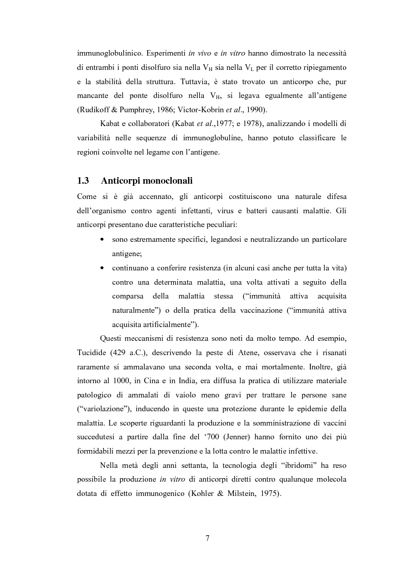 Anteprima della tesi: Confronto strutturale e funzionale di anticorpi ingegnerizzati scFvαHER-2, Pagina 9