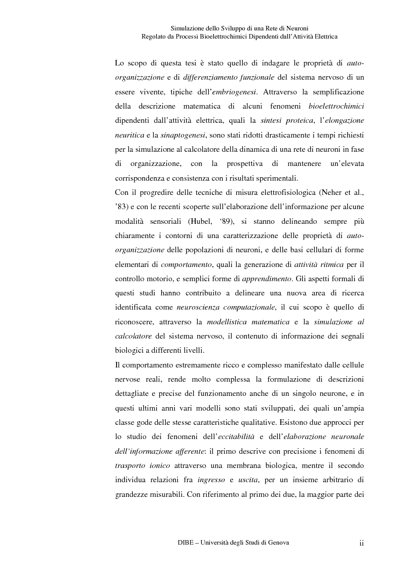 Anteprima della tesi: Simulazione dello sviluppo di una rete di neuroni regolato da processi bioelettrochimici dipendenti dall'attività elettrica, Pagina 2