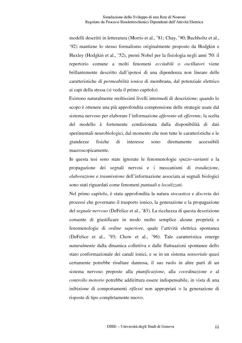 Anteprima della tesi: Simulazione dello sviluppo di una rete di neuroni regolato da processi bioelettrochimici dipendenti dall'attività elettrica, Pagina 3