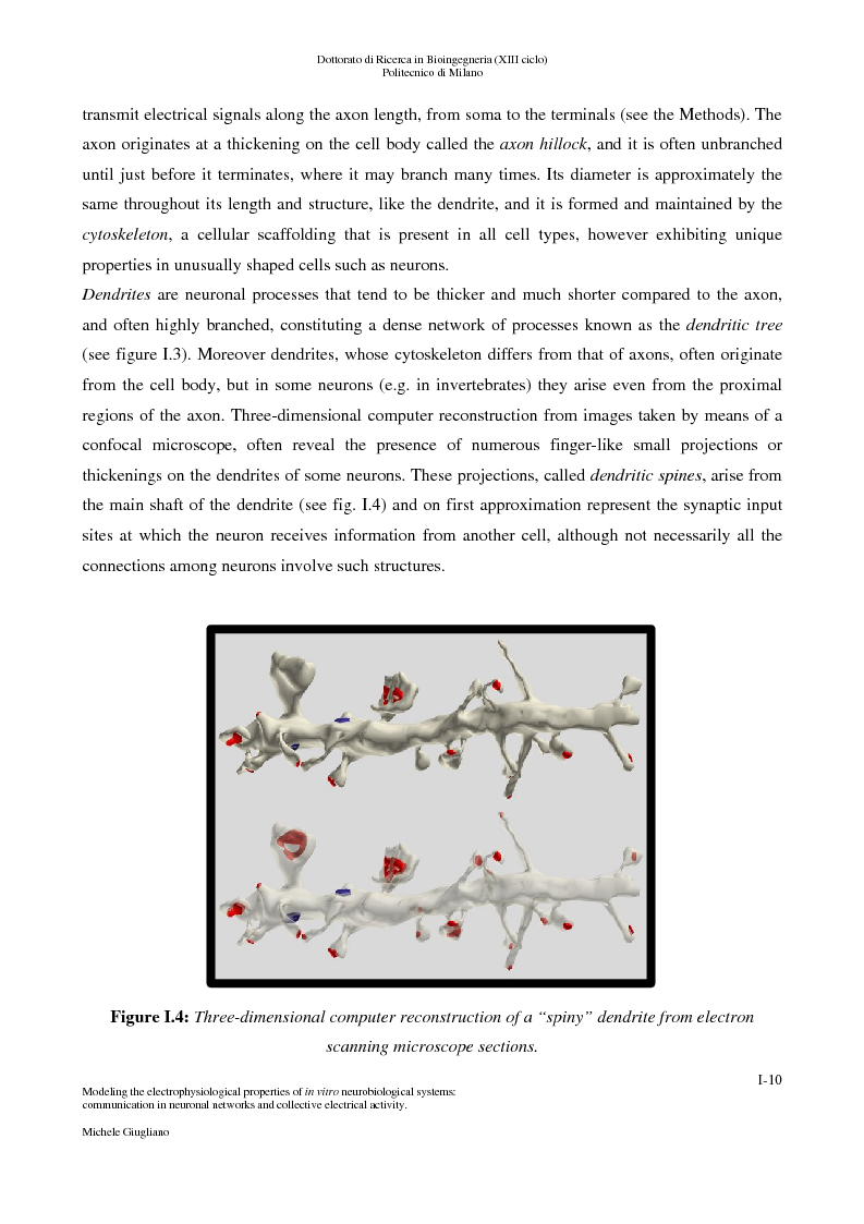 Anteprima della tesi: Modeling the electrophysiological properties of in vitro neurobiological systems: communication in neuronal networks and collective electrophysiological activity, Pagina 5