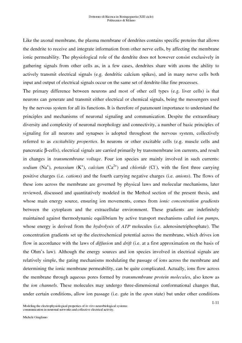Anteprima della tesi: Modeling the electrophysiological properties of in vitro neurobiological systems: communication in neuronal networks and collective electrophysiological activity, Pagina 6