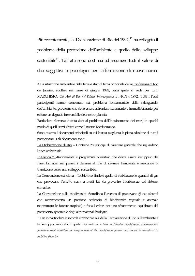 Anteprima della tesi: La protezione giuridica internazionale dell'ambiente marino da forme di inquinamento tellurico, con particolare riferimento alla situazione del Mediterraneo, Pagina 13