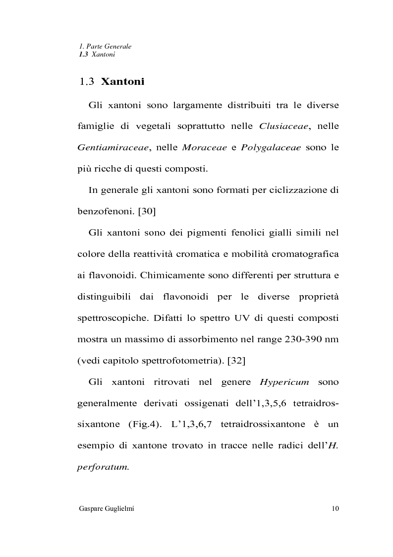 Anteprima della tesi: Ottimizzazione e standardizzazione dell'estratto di Hypericum perforatum, Pagina 13