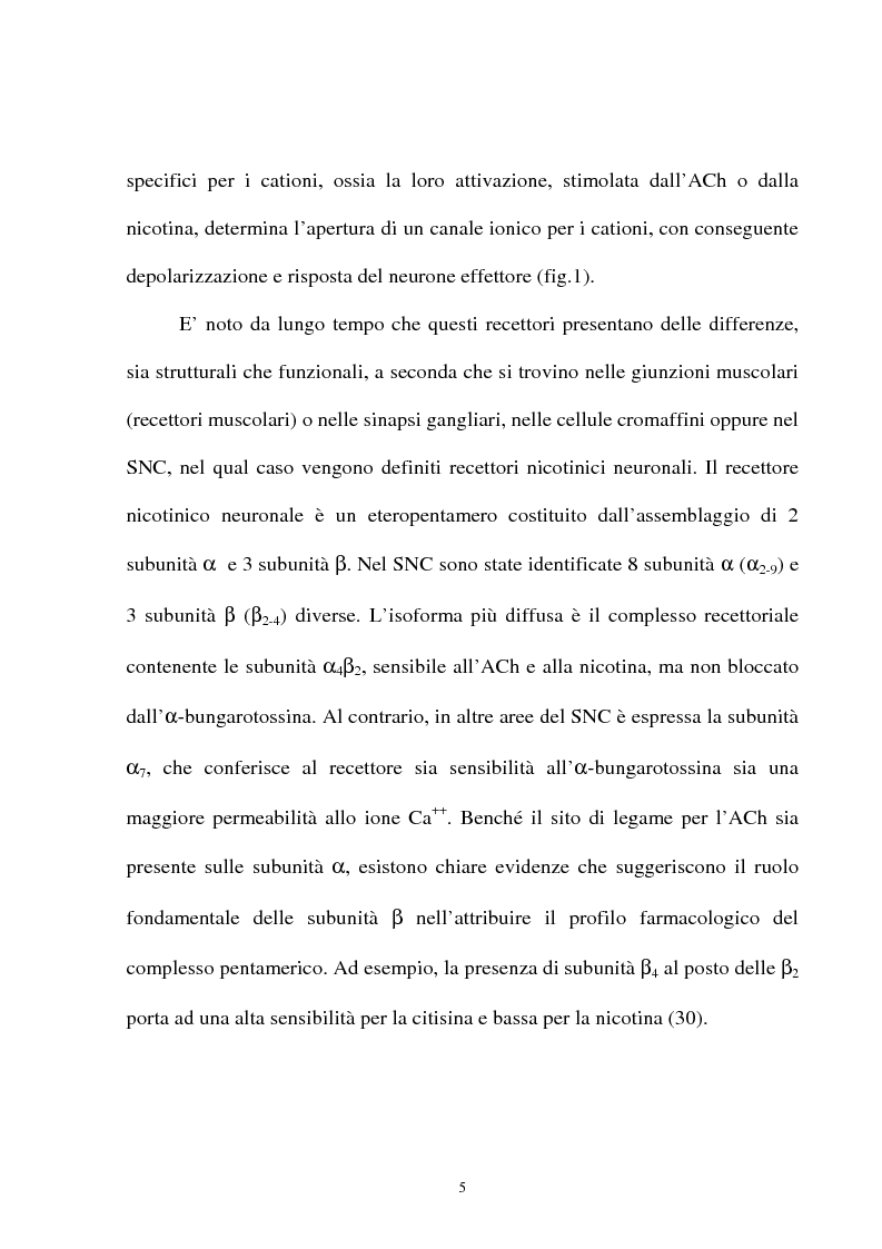 Anteprima della tesi: Ruolo dei recettori colinergici nicotinici nella regolazione della funzionalità dopaminergica, Pagina 3