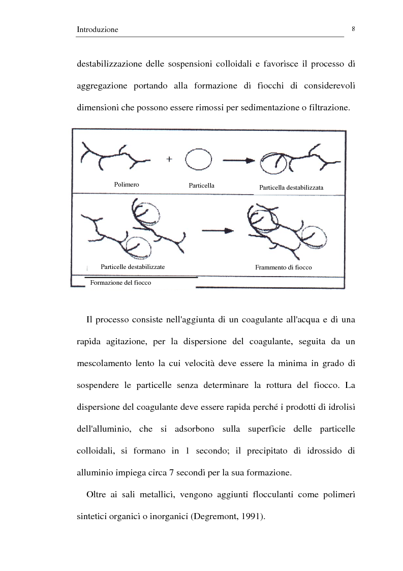 Anteprima della tesi: Trattamento dei reflui urbani mediante coagulazione/flocculazione con sali di alluminio: efficienza del metodo ed evidenze ecotossicologiche, Pagina 6