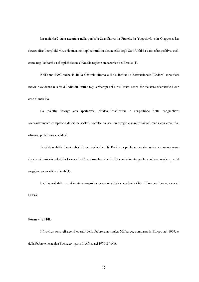 Anteprima della tesi: Aspetti epidemiologici della Crimean-Congo Haemorragic Fever, con particolare riferimento all'allevamento e alla macellazione dello struzzo, Pagina 10