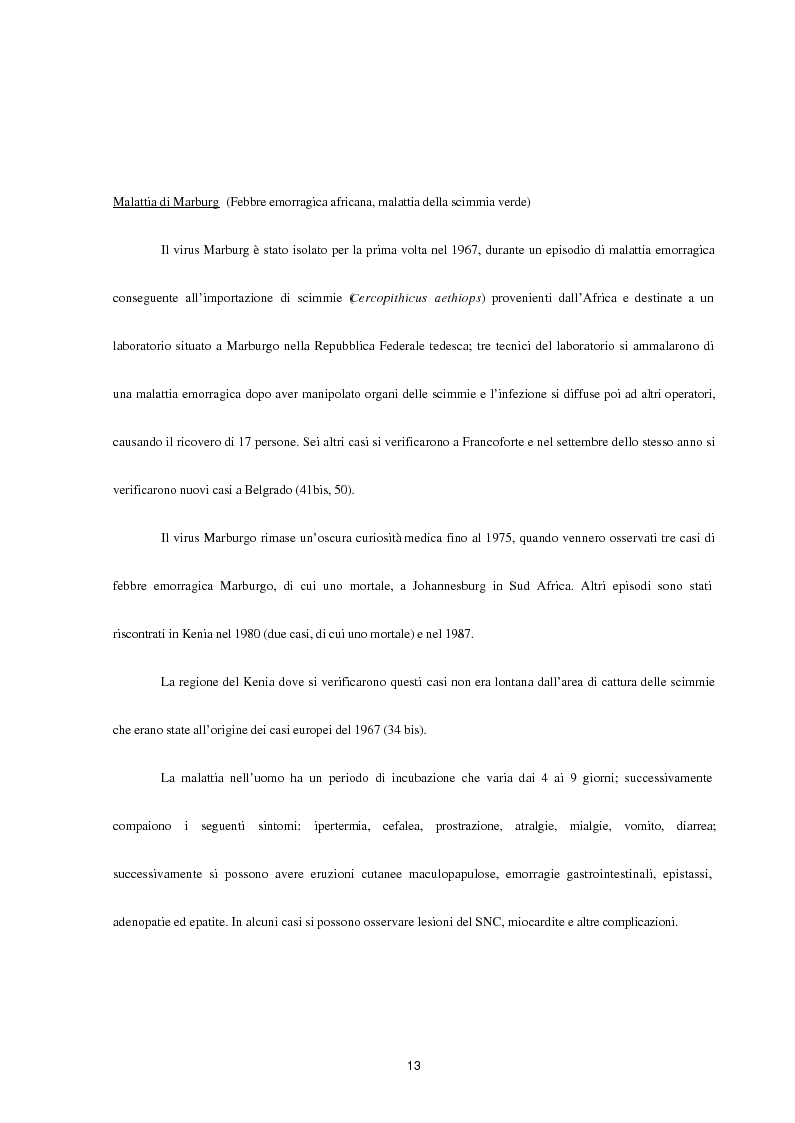 Anteprima della tesi: Aspetti epidemiologici della Crimean-Congo Haemorragic Fever, con particolare riferimento all'allevamento e alla macellazione dello struzzo, Pagina 11