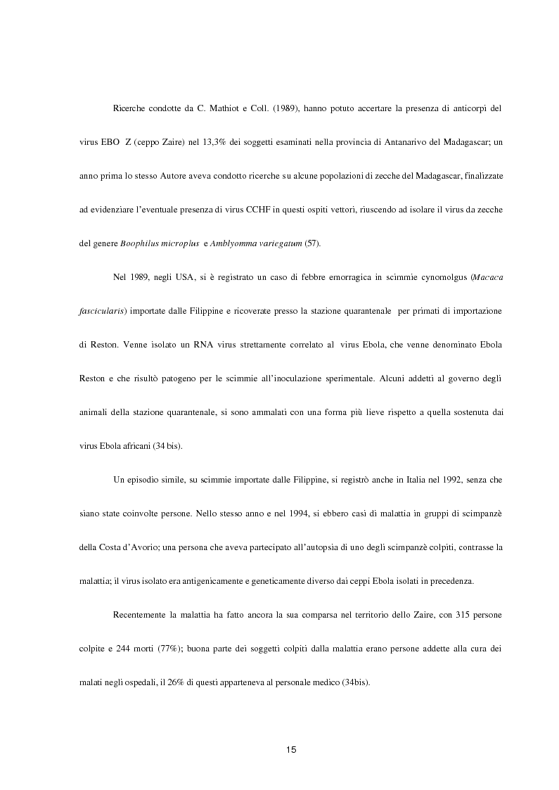 Anteprima della tesi: Aspetti epidemiologici della Crimean-Congo Haemorragic Fever, con particolare riferimento all'allevamento e alla macellazione dello struzzo, Pagina 13