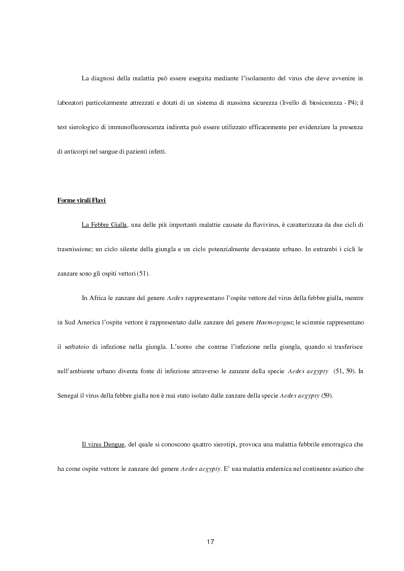 Anteprima della tesi: Aspetti epidemiologici della Crimean-Congo Haemorragic Fever, con particolare riferimento all'allevamento e alla macellazione dello struzzo, Pagina 15