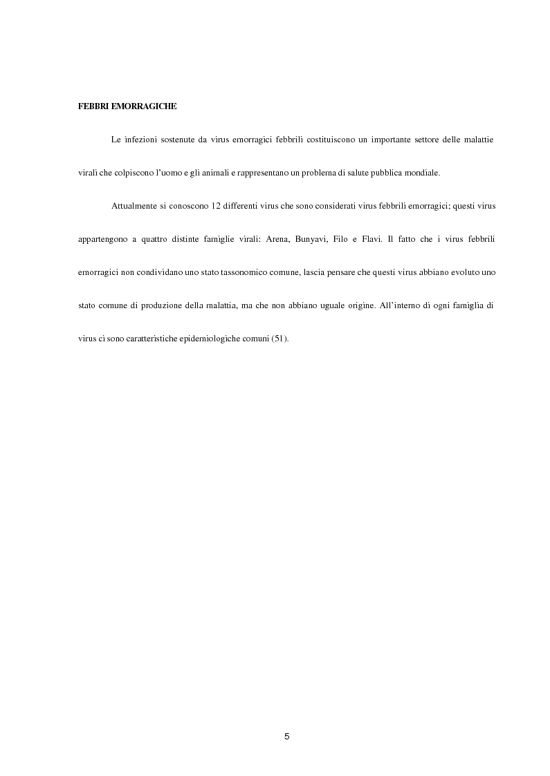 Anteprima della tesi: Aspetti epidemiologici della Crimean-Congo Haemorragic Fever, con particolare riferimento all'allevamento e alla macellazione dello struzzo, Pagina 3