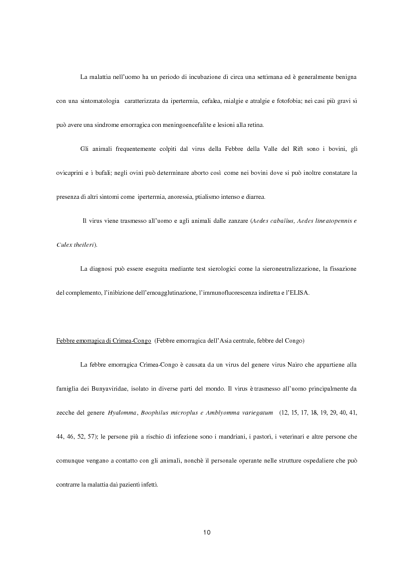 Anteprima della tesi: Aspetti epidemiologici della Crimean-Congo Haemorragic Fever, con particolare riferimento all'allevamento e alla macellazione dello struzzo, Pagina 8