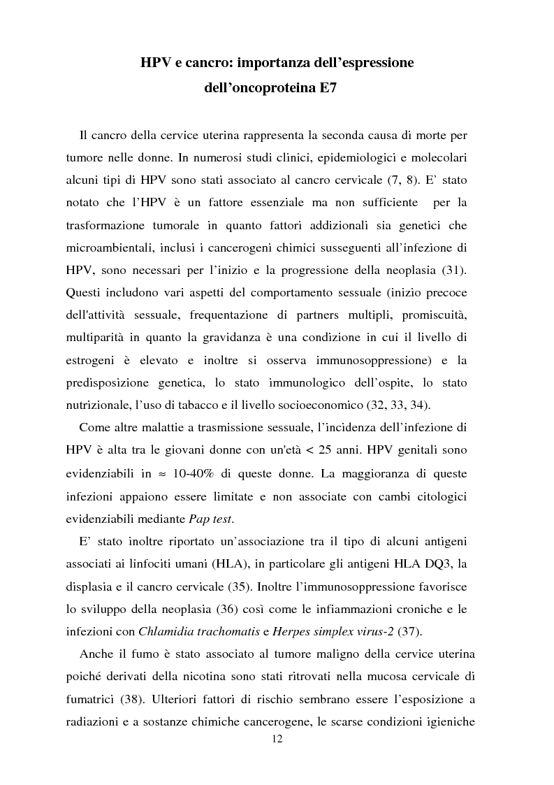 Anteprima della tesi: Cancro della cervice uterina ed espressione dell'oncoproteina HPV16 e7, Pagina 12