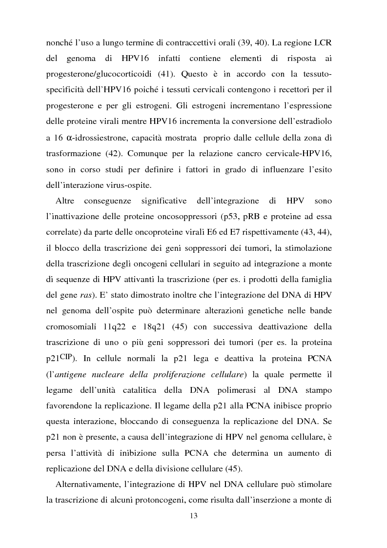 Anteprima della tesi: Cancro della cervice uterina ed espressione dell'oncoproteina HPV16 e7, Pagina 13
