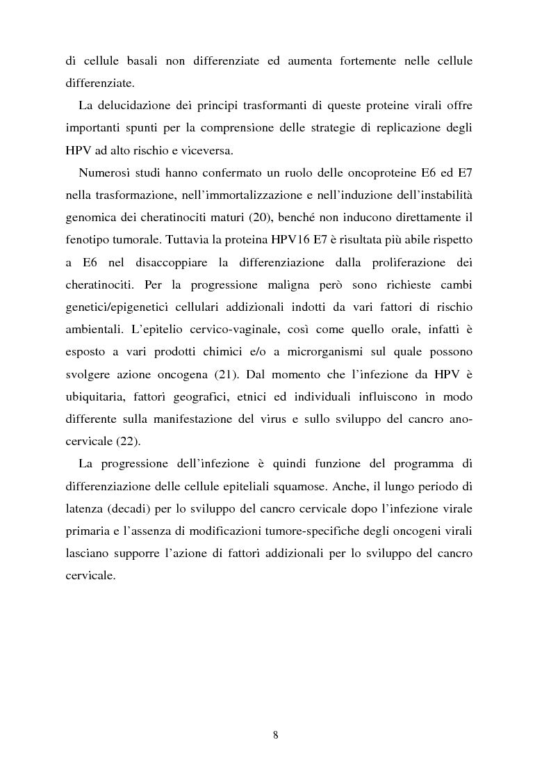 Anteprima della tesi: Cancro della cervice uterina ed espressione dell'oncoproteina HPV16 e7, Pagina 8