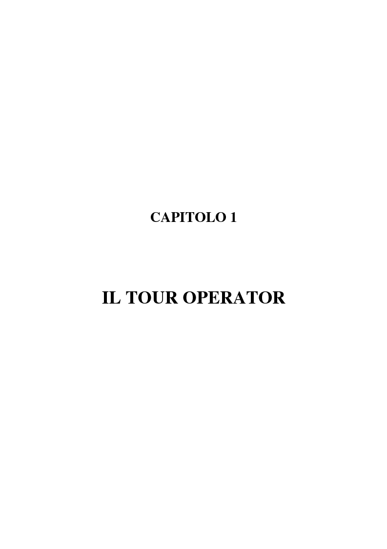 Anteprima della tesi: L'evoluzione della figura del tour operator: processi di concentrazione e specializzazione, Pagina 5