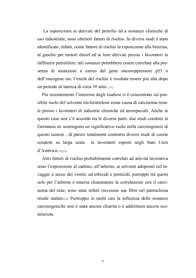 Anteprima della tesi: Stadio, grado istopatologico, morfometria nucleare e marcatori di proliferazione nel carcinoma renale, Pagina 5