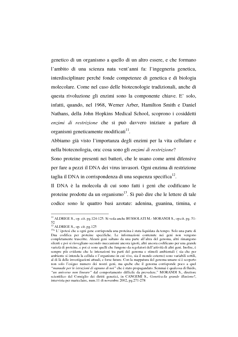 Anteprima della tesi: L'agricoltura geneticamente modificata dall'erosione della biodiversità ai problemi di una biopolitica globale, Pagina 7