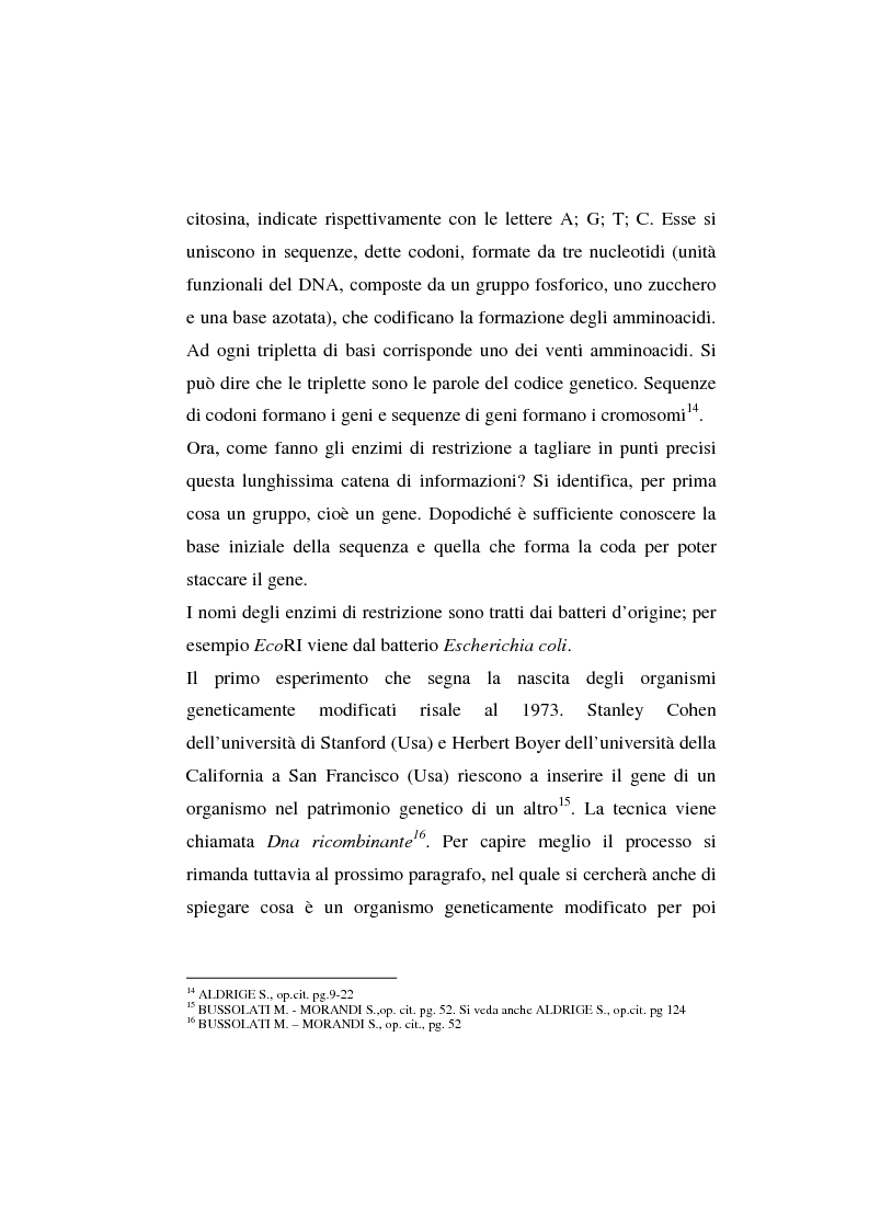 Anteprima della tesi: L'agricoltura geneticamente modificata dall'erosione della biodiversità ai problemi di una biopolitica globale, Pagina 8