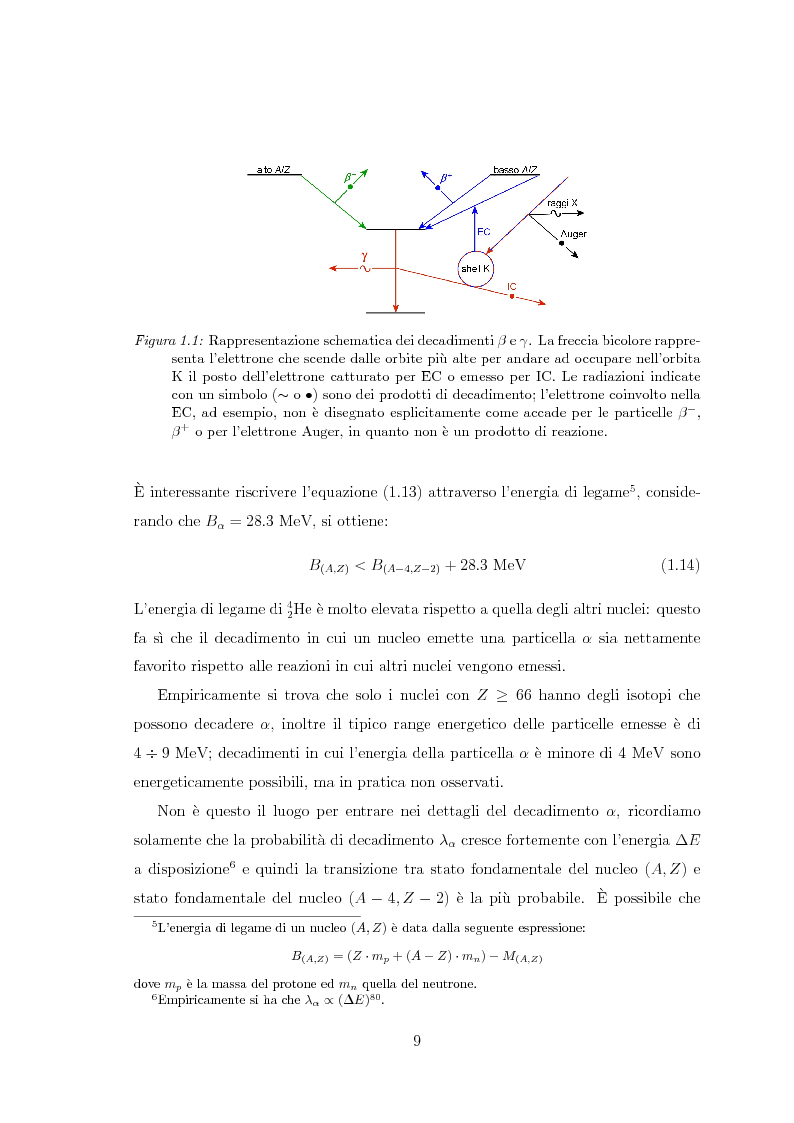 Anteprima della tesi: Il radiocesio nei boschi della regione FVG: la situazione attuale ed il confronto con il passato, Pagina 9