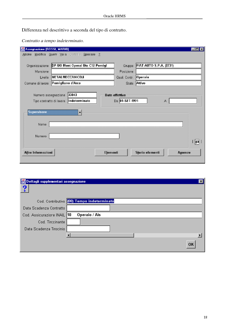 Anteprima della tesi: La gestione delle risorse umane e i sistemi Erp: il caso Oracle Hr, Pagina 13