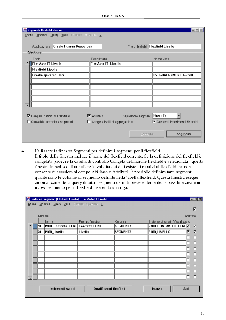 Anteprima della tesi: La gestione delle risorse umane e i sistemi Erp: il caso Oracle Hr, Pagina 8