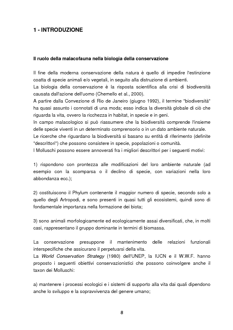 Anteprima della tesi: Specie rare della malacofauna marina mediterranea, Pagina 5