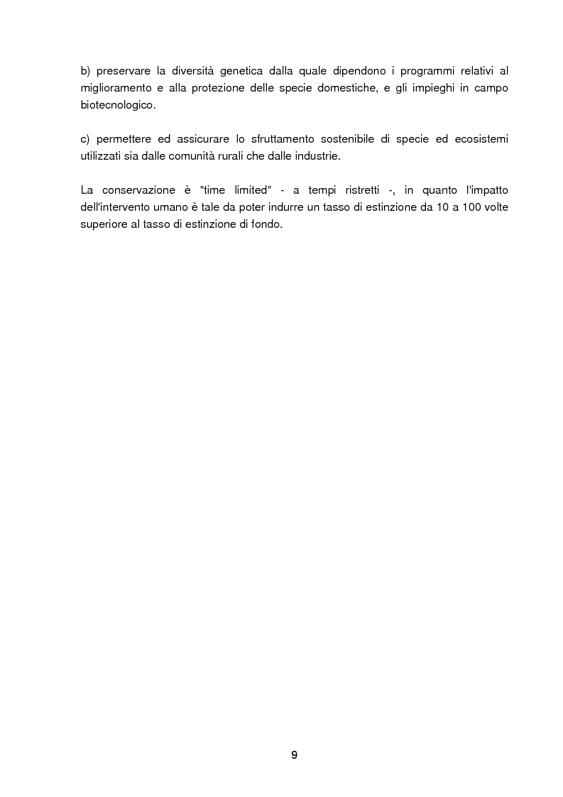 Anteprima della tesi: Specie rare della malacofauna marina mediterranea, Pagina 6