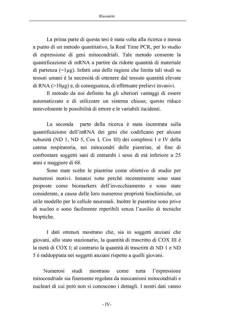 Anteprima della tesi: Trascrizione del DNA mitocondriale nell'invecchiamento, Pagina 2