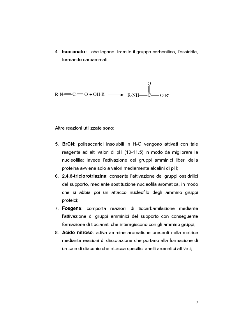 Anteprima della tesi: Immobilizzazione di albumina umana su supporti solidi; studio delle interazioni con composti aromatici, Pagina 7