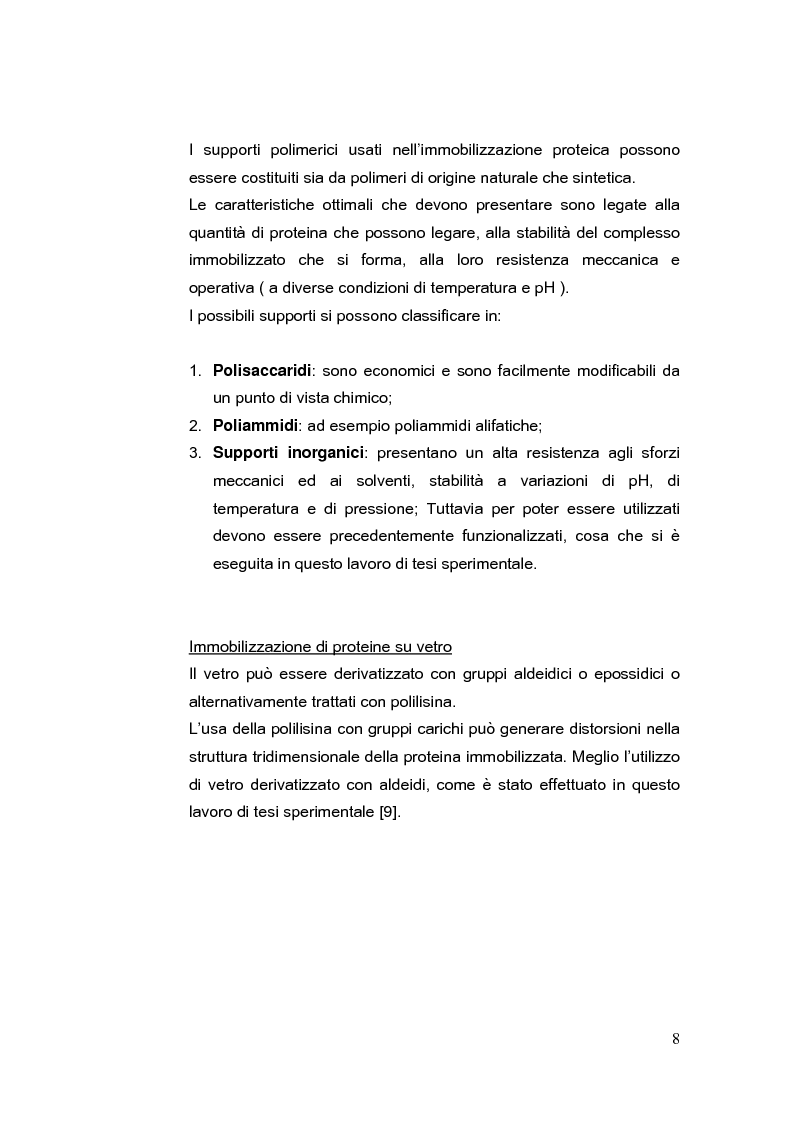 Anteprima della tesi: Immobilizzazione di albumina umana su supporti solidi; studio delle interazioni con composti aromatici, Pagina 8