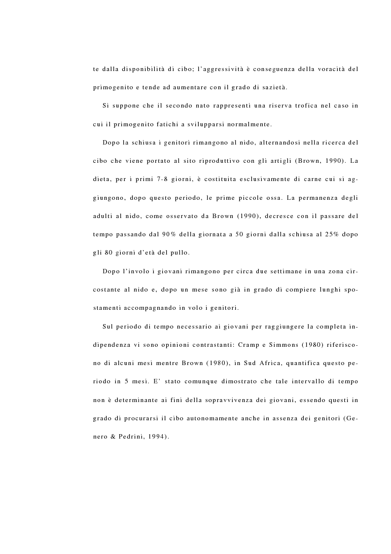 Anteprima della tesi: La reintroduzione del gipeto (Gypaetus Barbatus) sulle Alpi. Analisi del comportamento al nido e dopo l'involo, Pagina 10