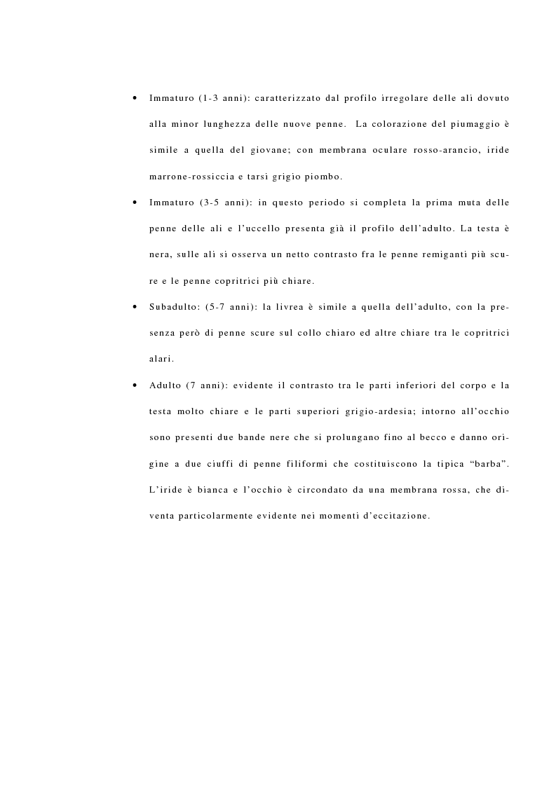 Anteprima della tesi: La reintroduzione del gipeto (Gypaetus Barbatus) sulle Alpi. Analisi del comportamento al nido e dopo l'involo, Pagina 3